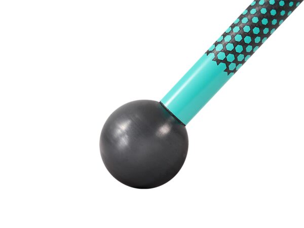 Aztron Land Paddle