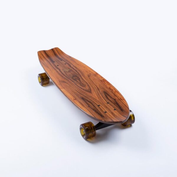 Arbor Cruiser Flagship Sizzler 30.5
