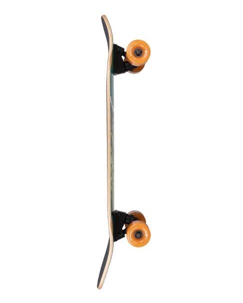 Arbor Cruiser Artist Pilsner Multi 8.25 IN