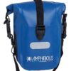 Amphibious ANURA