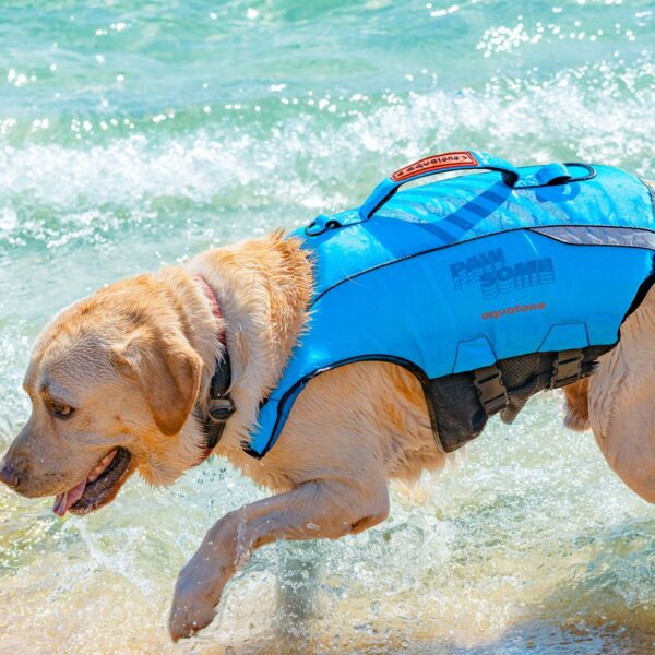 AQUATONE PAWSOME BUOYANCY PET VEST L