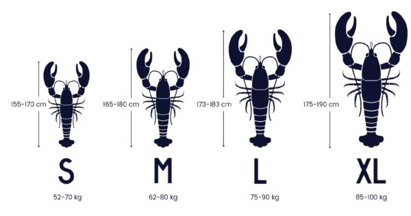 clovisbackzip__xboards.lt_1236_2 Saint Jacques Clovis Back Zip Bleu/Kaki 2 MM