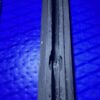 Starboard SUP US box 14" FIN BOX Hard SUP/Paddleboard