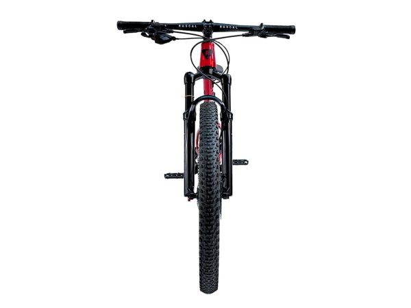 rascal dviratis wild red 24 -xboards.lt-3 Rascal Wild 24 Ruby Red Kids MTB Bike, view 4